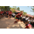 Team 123 / Raid Amazones Cambodge 2018 - J5 VTT
