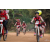 Team 27 / Raid Amazones Cambodge 2018 - J5 VTT