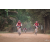 Team 17 / Raid Amazones Cambodge 2018 - J5 VTT