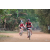 Team 135 / Raid Amazones Cambodge 2018 - J5 VTT
