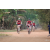 Team 24 / Raid Amazones Cambodge 2018 - J5 VTT