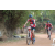 Team 109 / Raid Amazones Cambodge 2018 - J5 VTT
