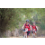 Team 15 / Raid Amazones Cambodge 2018 - J5 VTT