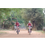 Team 03 / Raid Amazones Cambodge 2018 - J5 VTT