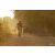 Team 17 / Raid Amazones Cambodge 2018 - J5 VTT