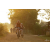 Team 17 / Raid Amazones Cambodge 2018 - J5 VTT
