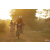 Team 119 / Raid Amazones Cambodge 2018 - J5 VTT