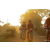Team 123 / Raid Amazones Cambodge 2018 - J5 VTT