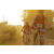 Team 103 / Raid Amazones Cambodge 2018 - J5 VTT
