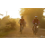 Team 149 / Raid Amazones Cambodge 2018 - J5 VTT