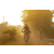 Team 149 / Raid Amazones Cambodge 2018 - J5 VTT