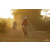 Team 103 / Raid Amazones Cambodge 2018 - J5 VTT
