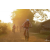 Team 103 / Raid Amazones Cambodge 2018 - J5 VTT
