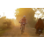 Team 120 / Raid Amazones Cambodge 2018 - J5 VTT