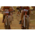 Raid Amazones Cambodge 2018 - J5 VTT