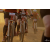 Raid Amazones Cambodge 2018 - J5 VTT