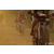 Team 109 / Raid Amazones Cambodge 2018 - J5 VTT