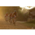 Team 109 / Raid Amazones Cambodge 2018 - J5 VTT