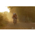 Team 135 / Raid Amazones Cambodge 2018 - J5 VTT