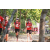Team 33 / Raid Amazones Cambodge 2018 - J5 VTT