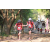 Team 33 / Raid Amazones Cambodge 2018 - J5 VTT
