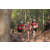 Team 111 / Raid Amazones Cambodge 2018 - J5 VTT