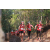 Team 121 / Raid Amazones Cambodge 2018 - J5 VTT