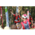 Team 20 / Raid Amazones Cambodge 2018 - J5 VTT