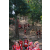Raid Amazones Cambodge 2018 - J5 VTT