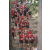 Raid Amazones Cambodge 2018 - J5 VTT