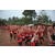 Raid Amazones Cambodge 2018 - J6 Trek