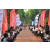 Team 36 / Raid Amazones Cambodge 2018 - J6 Trek