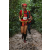 Team 109 / Raid Amazones Cambodge 2018 - J6 Trek