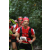 Team 128 / Raid Amazones Cambodge 2018 - J6 Trek
