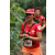 Team 108 / Raid Amazones Cambodge 2018 - J6 Trek