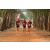 Team 149 / Raid Amazones Cambodge 2018 - J6 Trek