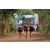 Team 149 / Raid Amazones Cambodge 2018 - J6 Trek