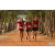 Team 135 / Raid Amazones Cambodge 2018 - J6 Trek