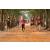 Team 121 / Raid Amazones Cambodge 2018 - J6 Trek