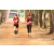 Team 02 / Raid Amazones Cambodge 2018 - J6 Trek