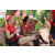 Raid Amazones Cambodge 2018 - J6 Trek