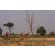 Raid Amazones Cambodge 2018 - J6 Trek