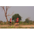 Raid Amazones Cambodge 2018 - J6 Trek