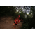 Raid Amazones Cambodge 2018 - J6 Trek