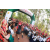 Raid Amazones Cambodge 2018 - J6 Trek