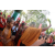 Raid Amazones Cambodge 2018 - J6 Trek