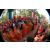 Raid Amazones Cambodge 2018 - J6 Trek