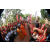 Raid Amazones Cambodge 2018 - J6 Trek