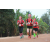 Team 128 / Raid Amazones Cambodge 2018 - J6 Trek