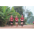 Team 106 / Raid Amazones Cambodge 2018 - J6 Trek